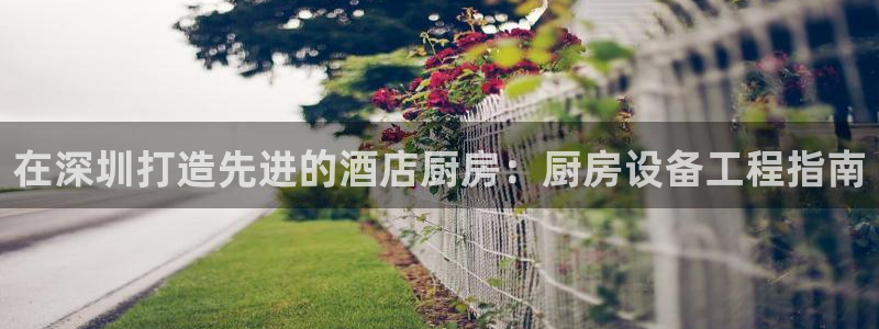 尊龙凯时是正规平台吗：在深圳打造先进的酒店厨房：厨房设备工程