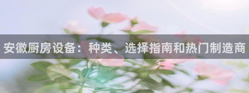 尊龙凯时网站网址：安徽厨