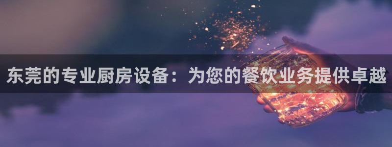 尊龙会：东莞的专业厨房设