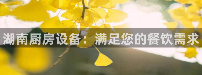 尊龙凯时代理能提出来不