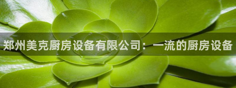 z6尊龙平台是哪里的：郑州美克厨房设备有限公司：一流的厨房设