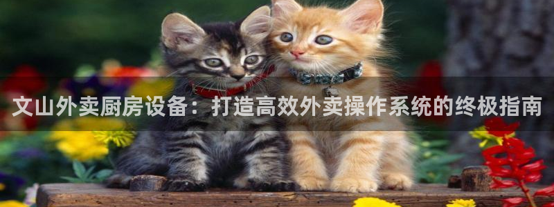 尊龙网址登录官网：文山外