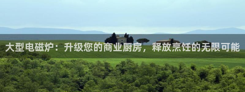 尊龙d88官网准认来就送38：大型电磁炉：升级您的商业厨房，