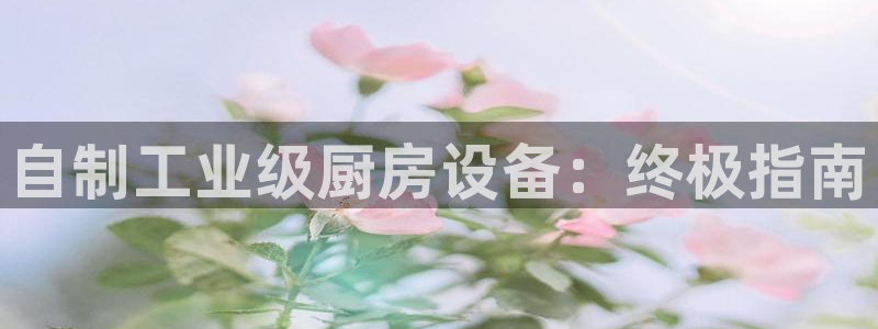 尊龙人生手机版：自制工业级厨房设备：终极指南