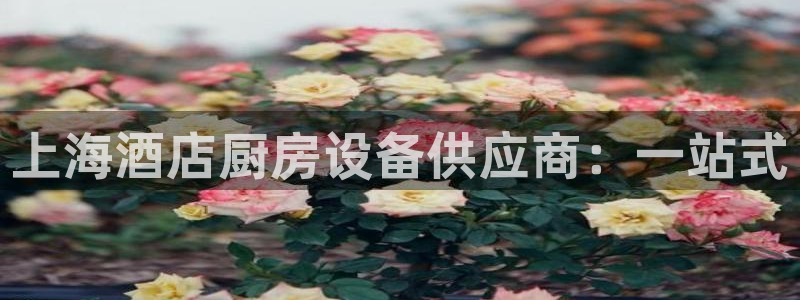 尊龙凯时链接：上海酒店厨房设备供应商：一站式