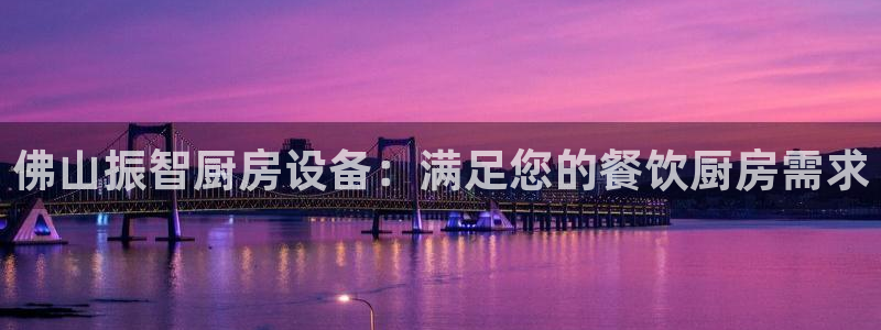 尊龙凯时网娱乐最新版下载：佛山振智厨房设备：满足您的餐饮厨房