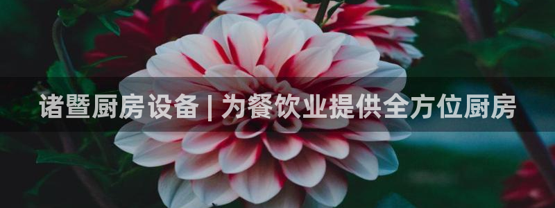 尊龙凯时注册入口：诸暨厨房设备 | 为餐饮业提供全方位厨房