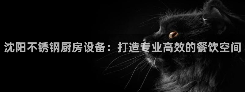 尊龙怎么没消息了：沈阳不