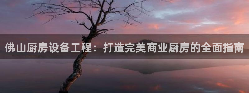 尊龙凯时电竞注册：佛山厨房设备工程：打造