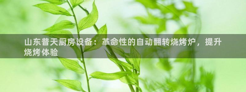 凯时在线平台官网：山东普天厨房设备：革命性的自动翻转烧烤炉，