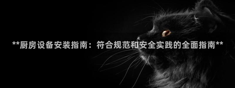 d88尊龙z6：**厨房设备安装指南：符合规范和安全实践的全