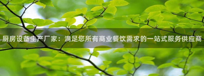 Ag尊龙平台：厨房设备生