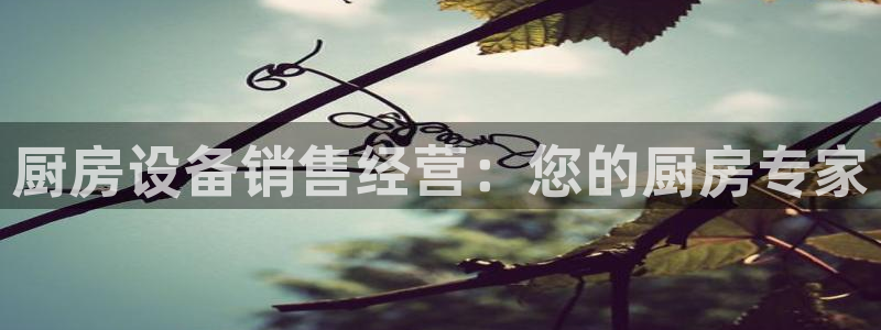 尊龙目前情况：厨房设备销
