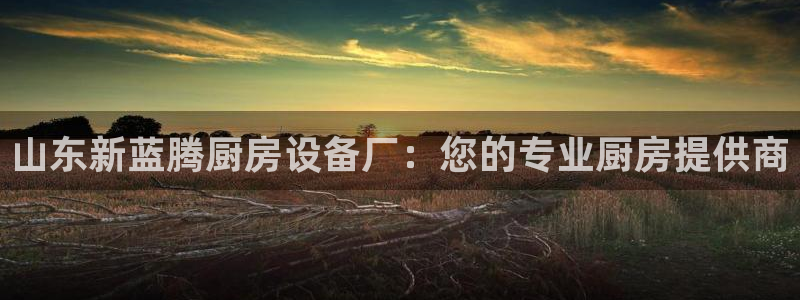 尊龙体育直接访问agbaofu.wang|ag暴富网：山东新