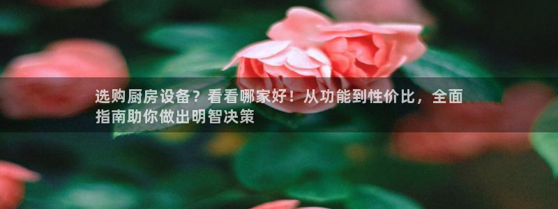 凯时旗舰厅App下载：选购厨房设备？看看哪家好！从功能到性价