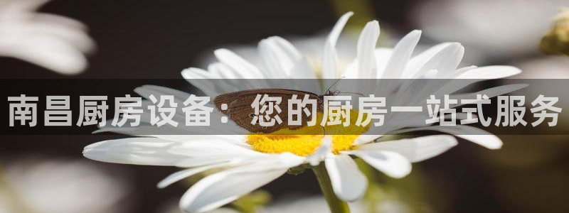 尊龙凯时官方网站下载：南昌厨房设备：您的厨房一站式服务