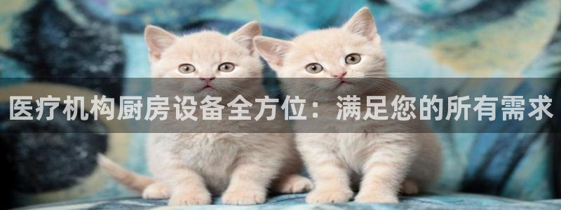 尊龙官网免费下载：医疗机