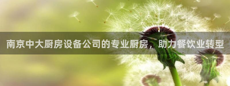 尊龙凯时产品系列：南京中