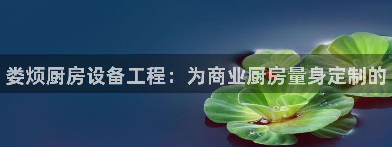尊龙官网首页：娄烦厨房设备工程：为商业厨房量身定制的