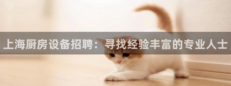 尊龙凯时台子：上海厨房设备招聘：寻找经验丰富的专业人士