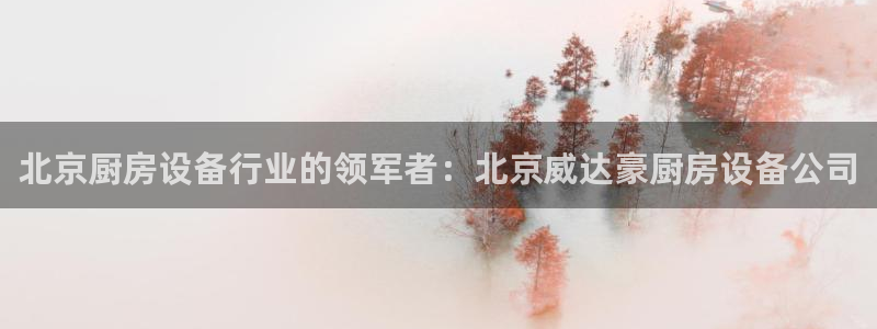 d88尊龙手机客户端下载：北京厨房设备行业的领军者：北京威达