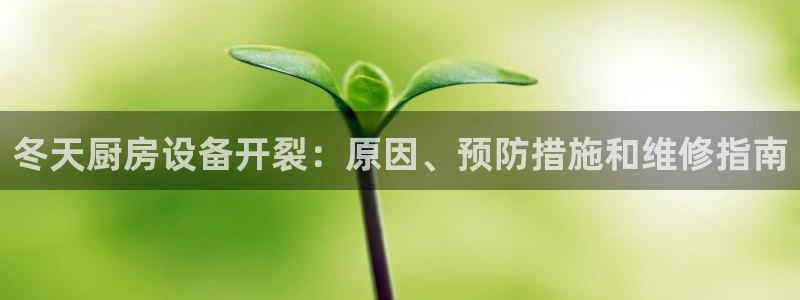 尊龙凯时老板是谁：冬天厨