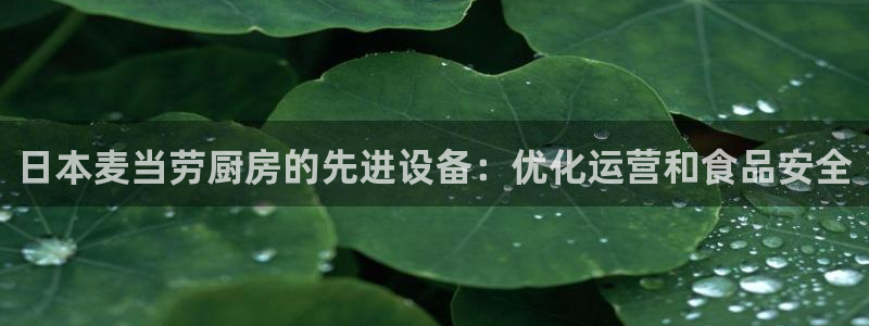 尊龙凯时输钱的原因：日本麦当劳厨房的先进设备：优化运营和食品