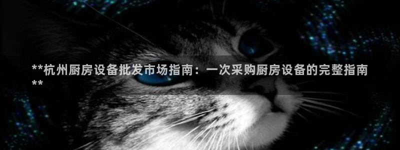 尊龙凯时官网网址：**杭州厨房设备批发市场指南：一次采购厨房