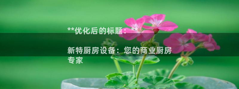 尊龙官方：**优化后的标题：**

新特厨房设备：您的商业厨
