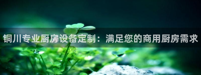 尊龙d88官网QU来就送