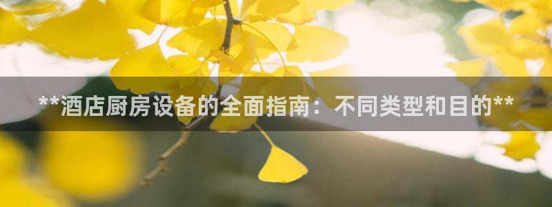 凯时官网：**酒店厨房设