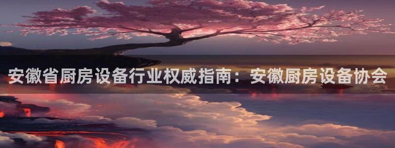 尊龙现金一下指导AG发财网：安徽省厨房设备行业权威指南：安徽