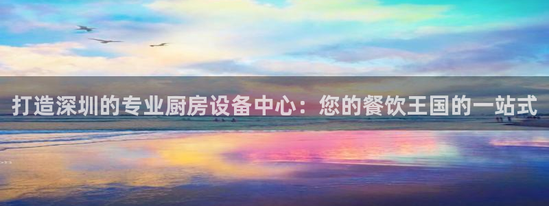 尊龙平台有谁玩过：打造深圳的专业厨房设备中心：您的餐饮王国的