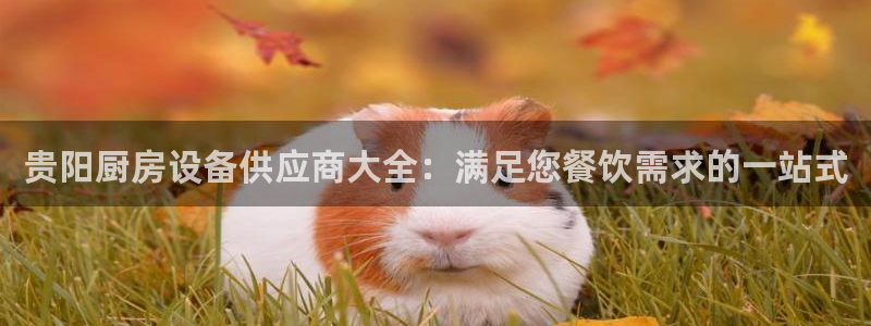 凯时国际app首页登录入