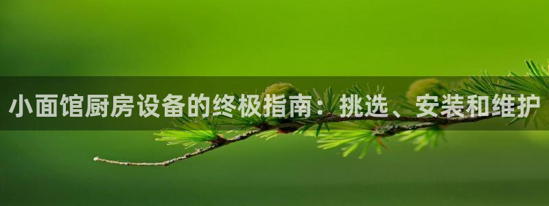 尊龙凯时旗舰厅百家乐下载：小面馆厨房设备的终极指南：挑选、安