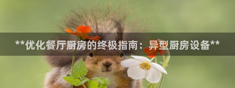 尊龙d88手机app免费下载：**优化餐厅厨房的终极指南：异