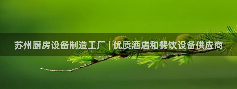 尊龙凯时 人生就是搏!平台：苏州厨房设备制造工厂 | 优质酒