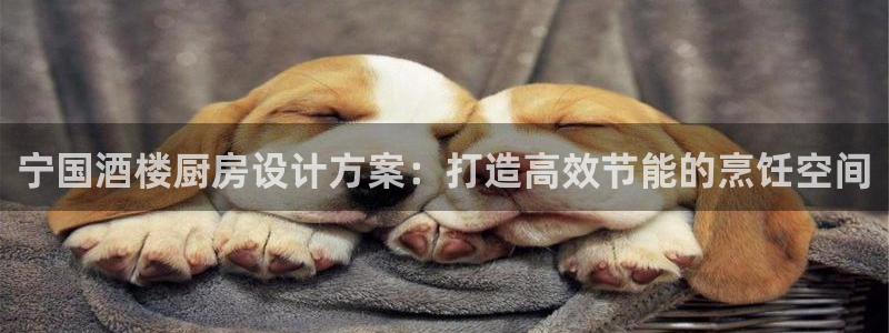 尊龙凯时ag旗舰厅登陆：宁国酒楼厨房设计方案：打造高效节能的