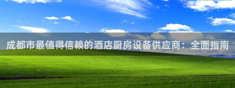 尊龙 中国：成都市最值得信赖的酒店厨房设备供应商：全面指南