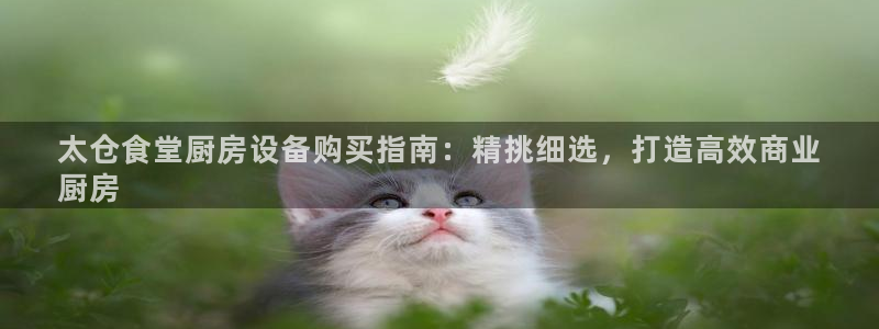 尊龙凯时旗舰厅百家乐下载：太仓食堂厨房设备购买指南：精挑细选