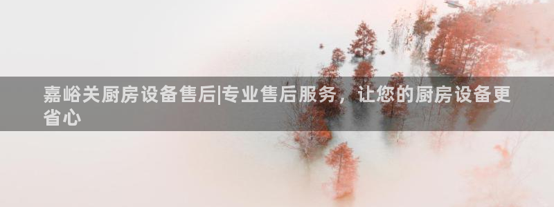 尊龙人生就是-首页(中国)有限公司：嘉峪关厨房设备售后|专业