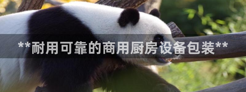 尊龙目前照片：**耐用可