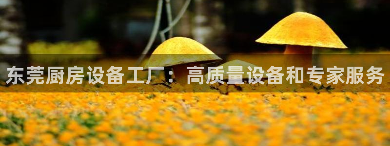 尊龙凯时vip：东莞厨房设备工厂：高质量设备和专家服务