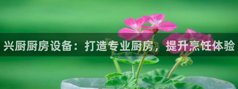 尊龙新版登录网址下载：兴厨厨房设备：打造专业厨房，提升烹饪体