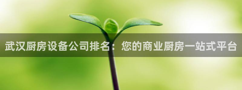 尊龙凯时的生产设备：武汉