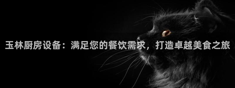 尊龙尊龙：玉林厨房设备：满足您的餐饮需求，打造卓越美食之旅