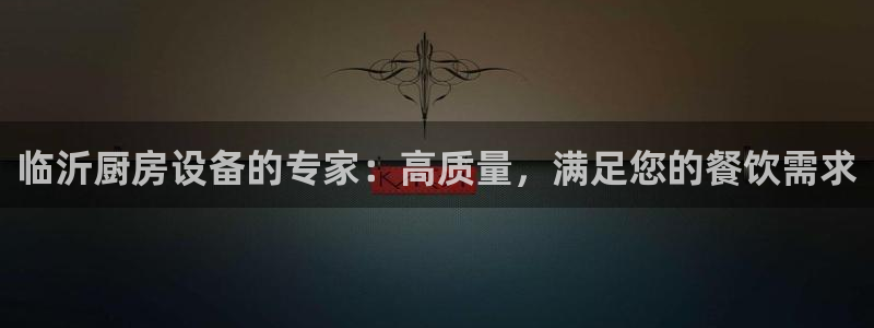 尊龙凯时注册入口：临沂厨房设备的专家：高质量，满足您的餐饮需