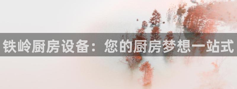 凯时APP官网首页：铁岭厨房设备：您的厨房梦想一站式