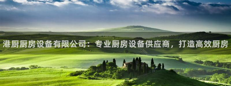 尊龙d88ag官方网站：港厨厨房设备有限公司：专业厨房设备供