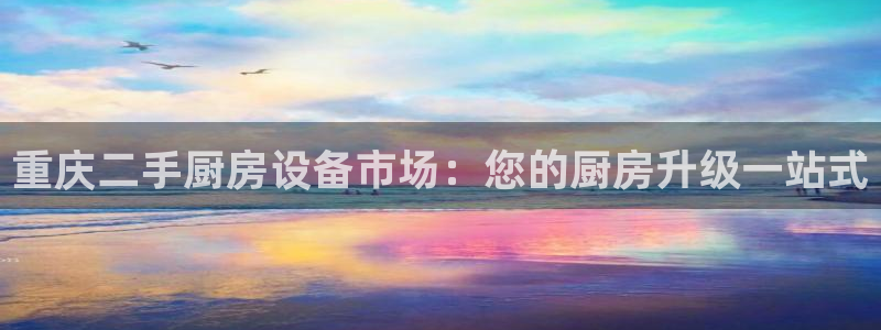 尊龙新版官网网页版：重庆二手厨房设备市场